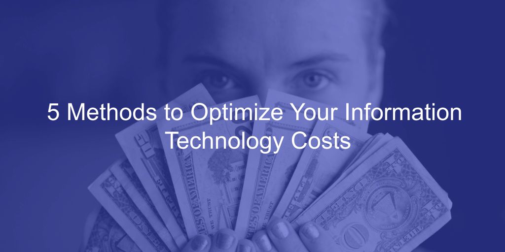 Information Technology Costs