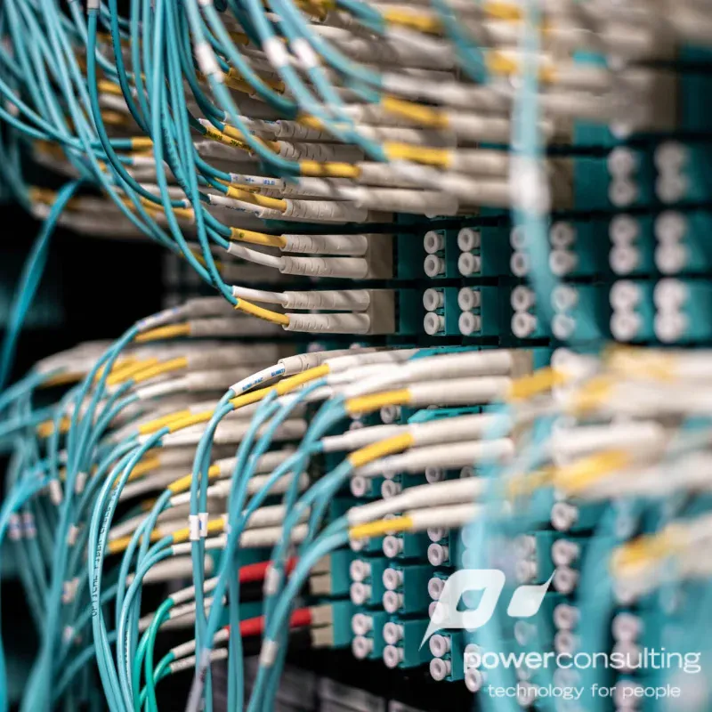 Services for the Microsoft Suite